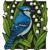 Blue Jay Amid Lilies Print