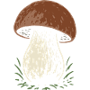 Cueilleur de cèpes - champignons - dicton