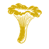 Cueilleur de chanterelles - Champignons - Dicton