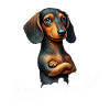 Simply Nope Dachshund Dog Dog Breed