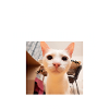 Verspieltes Katzenporträt mit Schnüffel-Detail