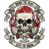Skull Motorcycle Motifs with Flames
