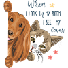 Dog and cat