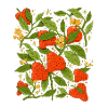 Strawberry and flowers botanical artistic