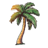 Palm tree