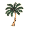 Palm tree