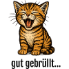 Cute kitten roars lion saying