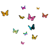 Schöner Mädchenname mit Schmetterlingen KAMILIA