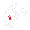 Muscle training with dumbbell and disc