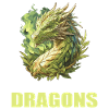 Dragon Dragon