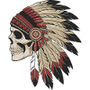 Indian Skull with Traditional Feathers