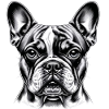 French Bulldog Head