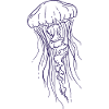 Jellyfish Line Art Illustration