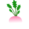 Minimalistic Turnip Botanical Illustration