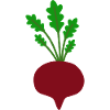 Vibrant Beetroot Leaf Illustration