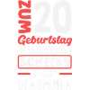 Funny 20th Birthday Gift