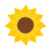 Sunflower Petal Pattern Illustration