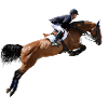 Dynamischer Springreiter im Galopp