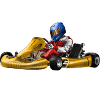 Pilote de course