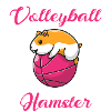 Hamster Volleyball