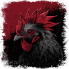 Rooster Portrait