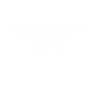 Real Pilots don't need runways
