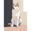 Joli husky à l'ombre