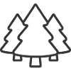 Épinette conifère Forest Line Icon