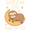 Sloth - Dream Big