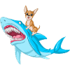 Cute Chihuahua Dog Riding Fierce Shark