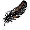 Elegant Black and Gold Feather Design