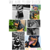 Doggy Voice Collage