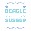 beagle hund spruch