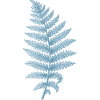 Artistic Fern Leaf Blue