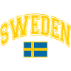 Sweden Flag