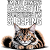 Sarcastic Cat Sleep