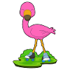 Patins à roulettes Flamingo