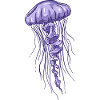 Illustration de méduse violette