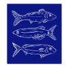 Dark blue fish pattern illustration