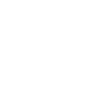 Bear Boxer