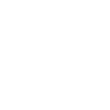 bison-boxer