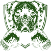 chien boxer-