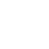Rhino Boxer