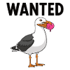Gesucht Möwe Eiscreme Abenteuer