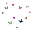 Motif papillon bébé sur fond sombre