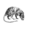 SATIRICAL HALLOWEEN DESIGN: BLACK DEATH