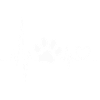 Dog Paw Dog Owner Pet