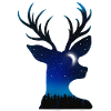 Mysterious miracle deer
