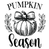 Pumpkin Season Hand Drawn Illustration