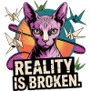 Broken Reality Cat